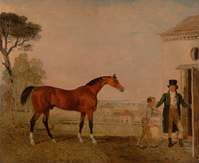 Sultan bij de Marquess van Exeters Stud, Burghley House door Lambert Marshall